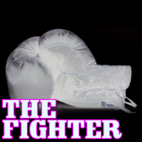The Fighter - Full Cover cover